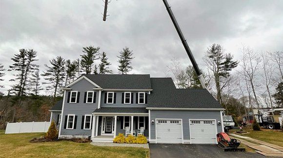 tree removal residential